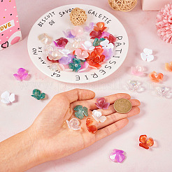 60Pcs 10 Colors Opaque Acrylic Bead Caps&nbsp;OACR-TA0002-61