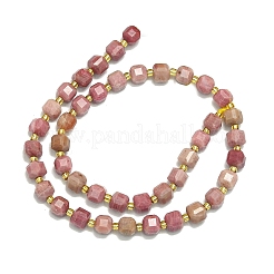 Natural Wood Lace Stone Wooden Jasper Beads Strand&nbsp;G-I376-D04-01