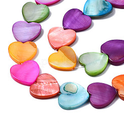 Natural Freshwater Shell Beads Strands&nbsp;SHEL-S278-024C