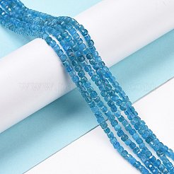 Natural Apatite Beads Strands&nbsp;G-C009-B14