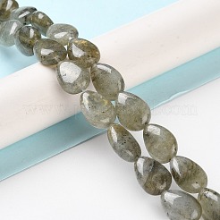Natural Labradorite Beads Strands&nbsp;G-K357-A14-01