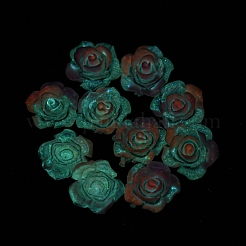 Luminous Transparent Resin Cabochons&nbsp;RESI-D013-05C