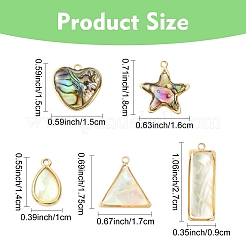 5Pcs Natural Paua Shell/Abalone Shell Pendants&nbsp;FIND-YW0008-61