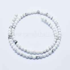 Natural Howlite Beads Strands&nbsp;X-G-P353-01-4mm