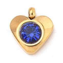 304 Stainless Steel Charms&nbsp;STAS-I165-05G