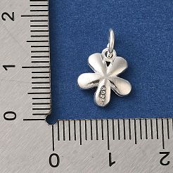 925 Sterling Silver 5-Petal Flower Charms with Jump Rings&nbsp;FIND-U013-02S-01