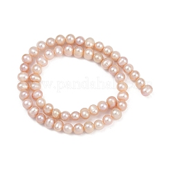 Natural Cultured Freshwater Pearl Beads Strands&nbsp;PEAR-I007-07X-13B