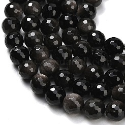 Natural Silver Obsidian Beads Strands&nbsp;G-C280-B08-10mm