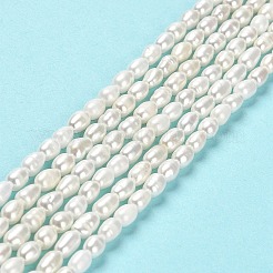 Natural Cultured Freshwater Pearl Beads Strands&nbsp;PEAR-E016-143