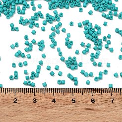 Baking Paint Glass Seed Beads&nbsp;SEED-S042-05B-57