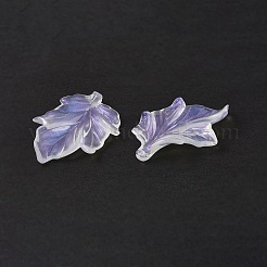 Transparent Acrylic Beads&nbsp;OACR-P007-34