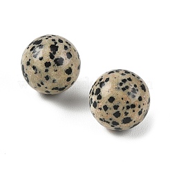Natural Dalmatian Jasper Sphere Beads&nbsp;GG-D003-A14