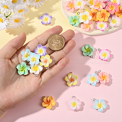 40Pcs 10 Styles Opaque Resin Pendants&nbsp;FIND-SC0019-47