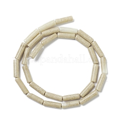 Natural Fossil Beads Strands&nbsp;G-H269-02