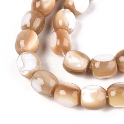 Natural Trochid Shell/Trochus Shell Beads Strands&nbsp;SSHEL-N040-14