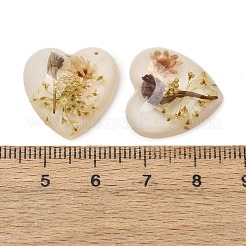 Transparent Resin Cabochons&nbsp;RESI-K033-12A