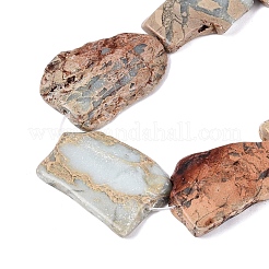 Natural Shoushan Stone Slice Beads Strands&nbsp;G-Q616-04A