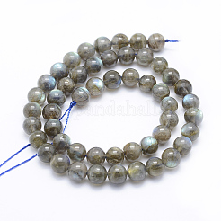 Natural Labradorite Beads Strands&nbsp;X-G-P336-19-8mm