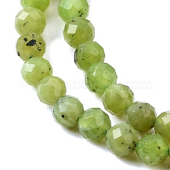 Natural Canadian Jade Beads Strands&nbsp;G-G259-D02-4mm