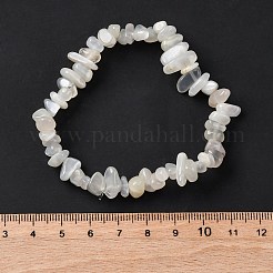 Natural White Moonstone Stretch Bracelets&nbsp;X-BJEW-JB03681-09