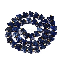 Dyed Natural Lapis Lazuli Beads Strands&nbsp;G-N371-10A-02
