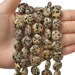 Natural Dalmatian Jasper Beads Strands&nbsp;G-L648-B19-15mm
