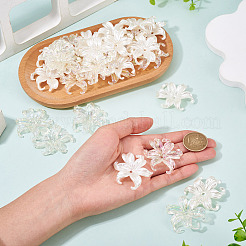 40Pcs 2 Styles Plastic Bead Caps&nbsp;KY-TA0001-67