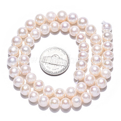 Natural Cultured Freshwater Pearl Beads Strands&nbsp;PEAR-N016-07A