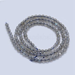 Natural Labradorite Beads Strands&nbsp;G-I206-46-3mm