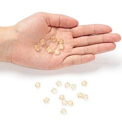 Spray Painted Transparent Glass Beads&nbsp;GLAA-FS0001-01B