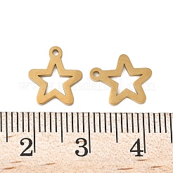 304 Stainless Steel Charms&nbsp;STAS-K306-06A-G