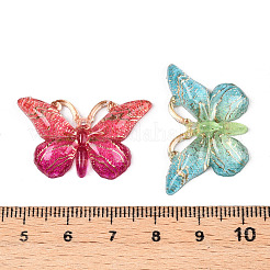 Printed Translucent Acrylic  Pendants&nbsp;OACR-T028-20