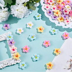 60Pcs 6 Colors Plastic Cabochons&nbsp;KY-SC0002-54A