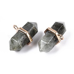 Natural Labradorite Double Terminal Pointed Pendants&nbsp;G-N345-09H