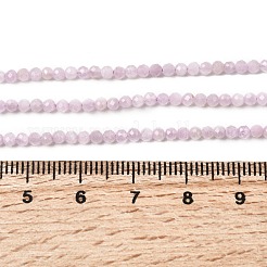 Natural Kunzite Beads Strands&nbsp;G-P603-C-2mm-05