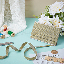 Polyester Ribbon&nbsp;OCOR-WH0110-11A