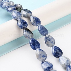 Natural Blue Spot Jasper Beads Strands&nbsp;G-K357-A06-01