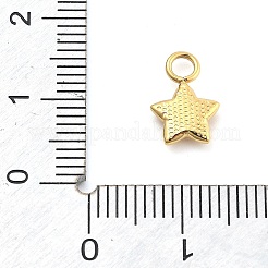 Ion Plating(IP) 304 Stainless Steel Charms&nbsp;STAS-P379-06C-G