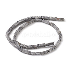 Natural Map Stone/Picasso Stone/Picasso Jasper Beads Strands&nbsp;G-G837-05