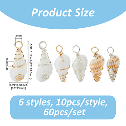 60Pcs 6 Styles Copper Wire Wrapped Natural Shell Pendants&nbsp;PALLOY-FH00099