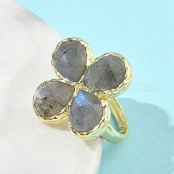 Natural Labradorite Faceted Adjustable Finger Rings for Women&nbsp;RJEW-A092-01G-12