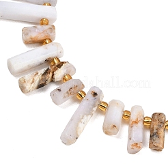 Natural White African Opal  Beads Strands&nbsp;G-F829-A02-01