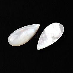 Natural White Shell Cabochons&nbsp;SSHEL-M022-04