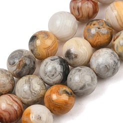 Natural Crazy Lace Agate Beads Strands&nbsp;G-S259-38-10mm