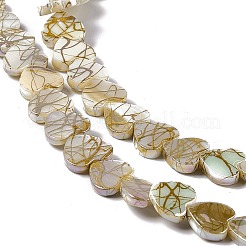 Drawbench Style Natural Freshwater Shell Beads Strands&nbsp;SHEL-F003-03