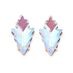 K9 Glass Pendants&nbsp;KK-E071-01KCG