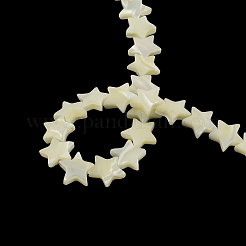 Star Shape Natural Sea Shell Beads Strands&nbsp;SSHEL-F290-18A