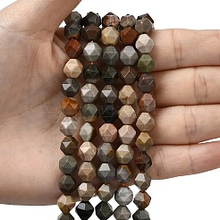 Natural Picasso Jasper Beads Strands&nbsp;G-Z119-A25-03