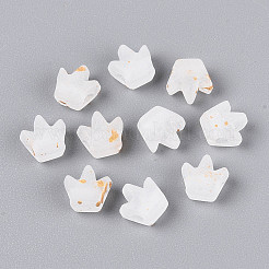 Frosted Transparent Acrylic Beads&nbsp;FACR-T009-01J