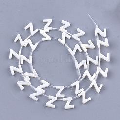 Natural Freshwater Shell Beads&nbsp;X-SHEL-T012-59